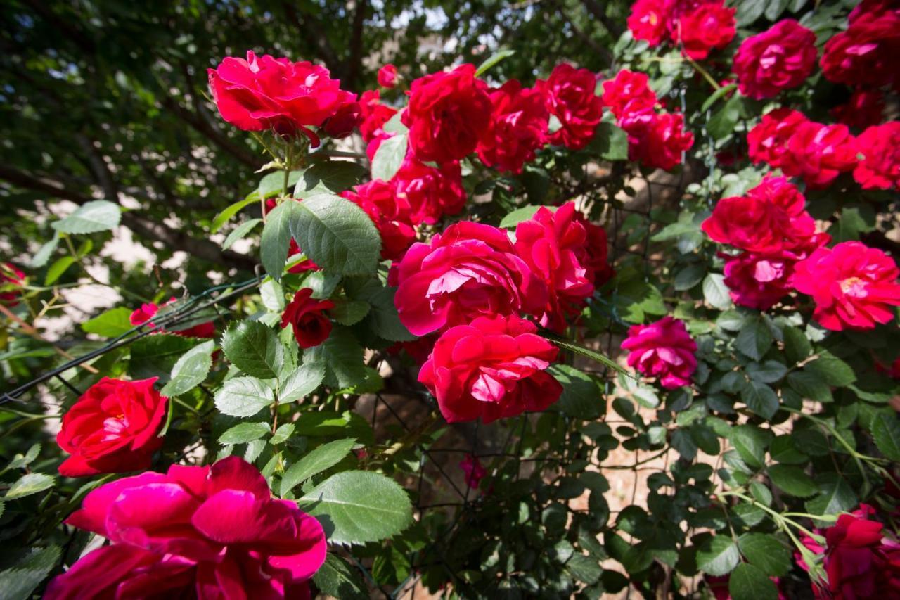 Villa Roso Kastela Dış mekan fotoğraf